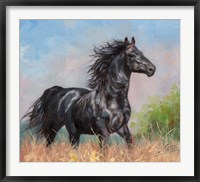 Black Horse Fine Art Print