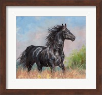 Black Horse Fine Art Print