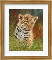 Jaguar Cub Fine Art Print