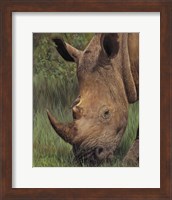 Rhino And Oxpecker Bird Fine Art Print