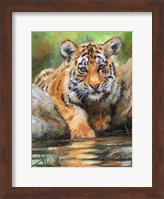 Tiger Cub Water Fine Art Print