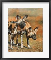 African Wild Dogs Fine Art Print
