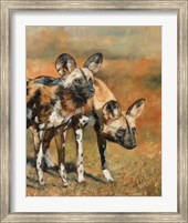 African Wild Dogs Fine Art Print