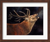 Red Deer Stag Winter Breath Fine Art Print