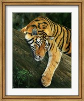 Tiger Tree Branch Fine Art Print