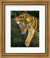 Tiger Tree Branch Fine Art Print