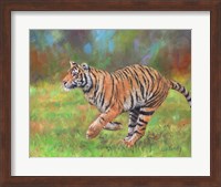 Tiger Running Fine Art Print
