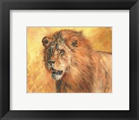 Mane Lion Fine Art Print