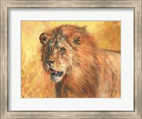 Mane Lion Fine Art Print