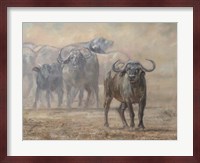 Buffalo Zambia Fine Art Print