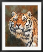 April Tiger Fine Art Print