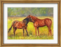 Horse Love Fine Art Print