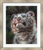 White Tiger Cub Portrait Fine Art Print