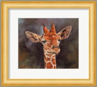 Giraffe Fine Art Print