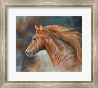 Stallion Fine Art Print