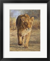 Lioness Walk Fine Art Print