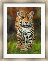 Jaguar Walk Fine Art Print