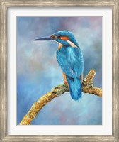 Kingfisher Brilliant Blue Fine Art Print