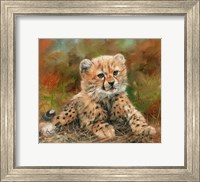 Cheetah Cub Laying Down Fine Art Print