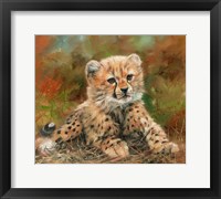 Cheetah Cub Laying Down Fine Art Print