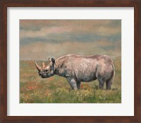 Black Rhino Fine Art Print