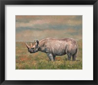 Black Rhino Fine Art Print