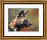 Wild Dog Portrait Fine Art Print