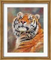 Smiling Tiger Fine Art Print