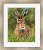 Hare 2 Fine Art Print