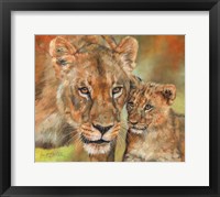 Lioness And Cub Fine Art Print