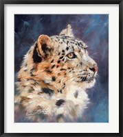 Snow Leopard Portrait 2 Fine Art Print