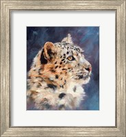 Snow Leopard Portrait 2 Fine Art Print