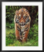 Tiger Prowling Fine Art Print