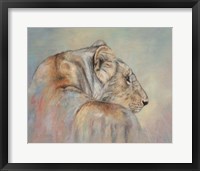Lioness Fade Fine Art Print