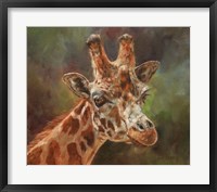 Giraffe Portrait 2 Fine Art Print