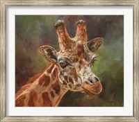 Giraffe Portrait 2 Fine Art Print