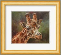 Giraffe Portrait 2 Fine Art Print