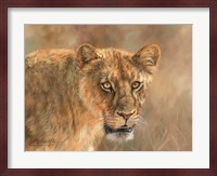Hungry Lioness Fine Art Print