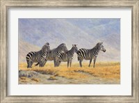 Zebras Ngorongoro Crater Fine Art Print
