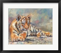Tiger Cub Lounging Fine Art Print