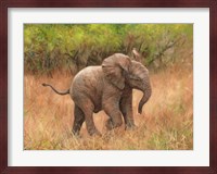 Baby African Elephant Fine Art Print