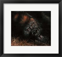 Gorilla In Bed Fine Art Print