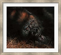 Gorilla In Bed Fine Art Print