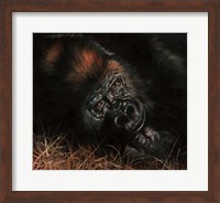 Gorilla In Bed Fine Art Print