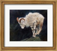 Mountain Goat Fine Art Print