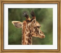 Giraffe From Behind Fine Art Print