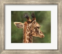 Giraffe From Behind Fine Art Print