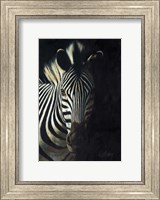 Zebra Fade To Black Fine Art Print