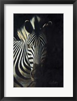 Zebra Fade To Black Fine Art Print