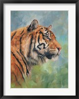 Lucky Tiger Fine Art Print